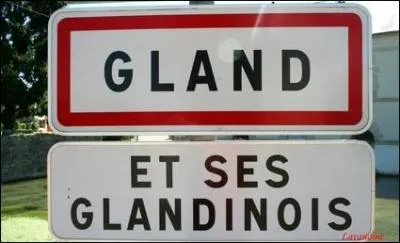 Gland du pénis masculin !