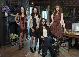 Cette série est-elle diffusée en Belgique ?