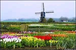 Comment est l'héritage que fait l'héroïne dans le douzième épisode ?