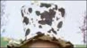 A qui est ce chapeau