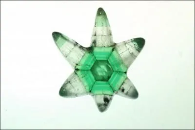 Cette émeraude dite "trapiche" est polie, et est tout à fait :