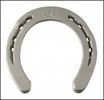 Laquelle de ces caractéristiques du fer est fausse ?