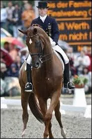 Lorsque le cheval tourne, le mouvement de l'encolure s'appelle...