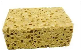 Dans un pansage complet, pour des raisons d'hygiène, dans quel ordre faut-il passer l'éponge ?