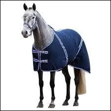Quels chevaux faut-il protéger avec une couverture ?