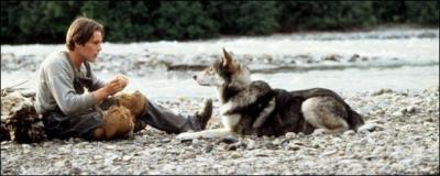 Jack London nous raconte la vie d'un loup qui a perdu sa mère à l'âge de 2 mois et demi et son père, en sauvant une louve de sa troupe, est mort.