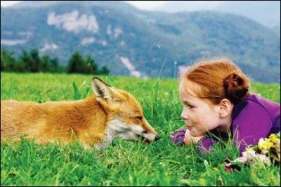 Connaissez-vous ce film émouvant, qui parle de l'amitié entre un renard et une fille ! J'ai les larmes aux yeux.C'est si, si, ...tendre !