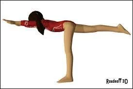 Quelle est cette figure ?