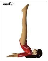 Quelle est cette figure ?