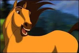 Quel est ce cheval ?