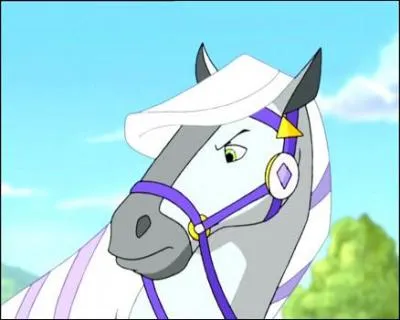 Quel est ce cheval ?