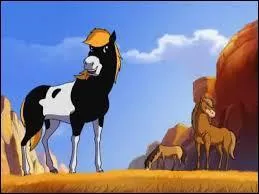 Quel est ce cheval ?