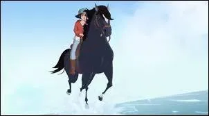 Quel cheval est-ce ?