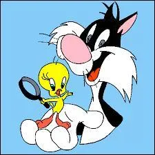 Comment s'appelle le chat surnommé "Grosminet" qui tente par tous les moyens d'attraper "Titi" un canari jaune ?