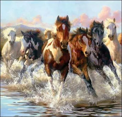 Parmi ces chevaux, il y a :