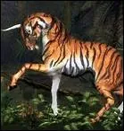 Un cheval avec du noir et du blanc...