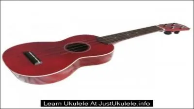 Mort d'une insuffisance respiratoire due à sa masse corporelle, il laisse une chanson qui a fait le tour du monde !