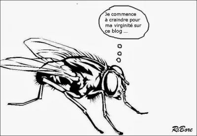 Lisez bien le contenu et choisissez la bonne réponse.