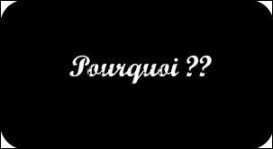 Qui dit tout le temps "pourquoi" ?