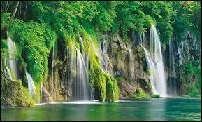 Créature humanoïde, affublée d'un képi, souvent vêtue de bleu, qui passe le plus clair de son temps à buller aux carrefours, d'après Coluche hein, je n'y suis pour rien !