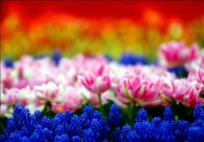 Si vous ne trouvez pas la réponse, ça me laisse vraiment ...