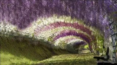 Très utiles pour marcher !