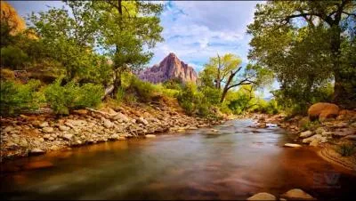 Armure complète de chevalier du Moyen-Age !