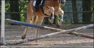 À l'abord d'un directionnel isolé :