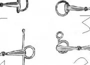 Quiz Les différents types de mors