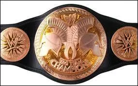Quels furent les premiers champions Tag Team de la WWE ?
