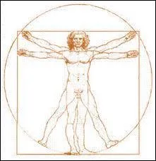 Combien de sens (principaux) l'homme possède-t-il ?