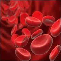 Combien existe-t-il de groupes sanguins ?