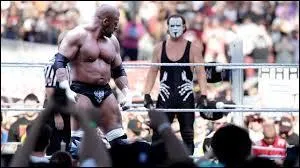 Sting vs. Triple H : qui a remporté ce match ?