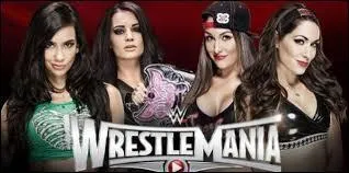 Diva Tag Team Match : qui a remporté ce match ?