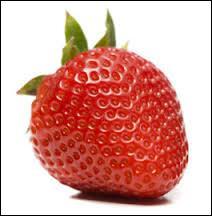 Quel est le fruit de la fraise ?
