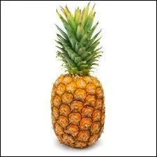 L'ananas se cueille :