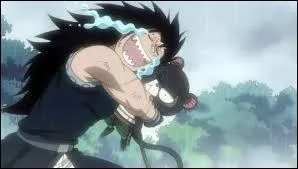 Qui est son dragon Slayers ?