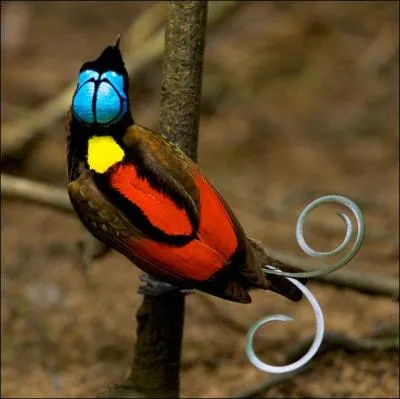 La réponse vous emmène au paradis !