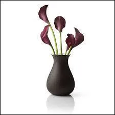 1) Vase : récipient.
2) Vase : boue qui se dépose au fond des eaux.