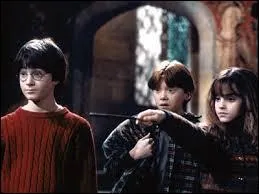 Quelle créature magique combattent Harry, Ron et Hermione ?