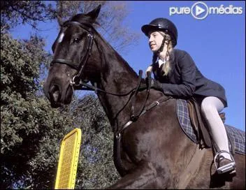 Qui est ce cheval et à qui appartient-il ? Ou qui s'en est occupé ?