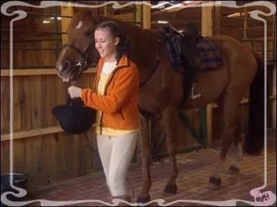 Qui est ce cheval et à qui appartient-il ? Ou qui s'en est occupé ?