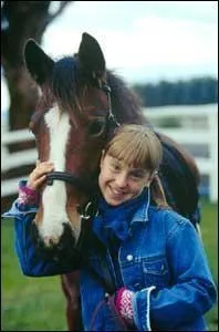 Qui est ce cheval et à qui appartient-il ? Ou qui s'en est occupé ?