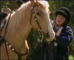 Qui est ce cheval et à qui appartient-il ? Ou qui s'en est occupé ?