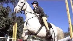 Qui est ce cheval et à qui appartient-il ? Ou qui s'en est occupé ?