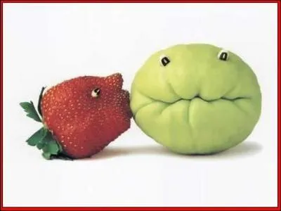 La gelée blanche du 1er mai empêche la formation...