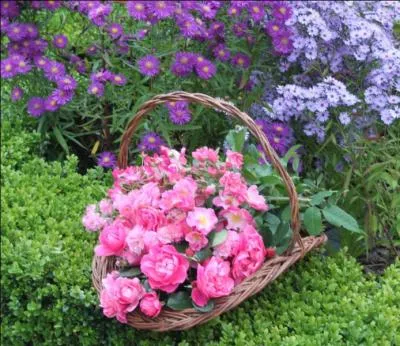 Selon les jardiniers, qu'est-ce qui rend l'âme gaie ?