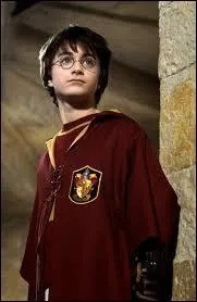 Quel est le poste de Harry au Quidditch ?
