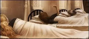 Qui n'a pas été pétrifié ?