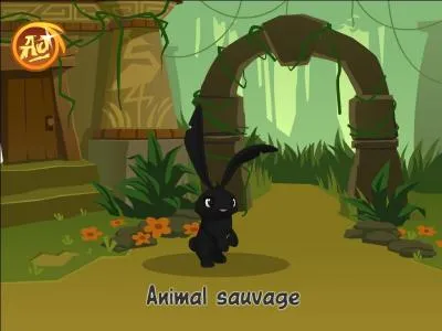 Les loups n'aiment pas :